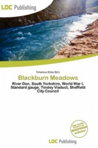 Blackburn Meadows