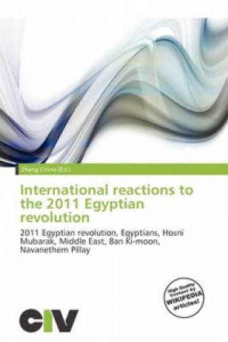 International Reactions to the 2011 Egyptian Revolution