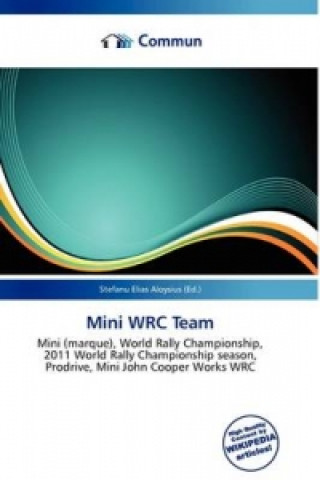 Mini Wrc Team
