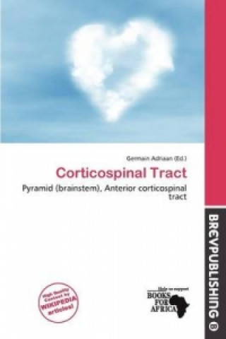 Corticospinal Tract