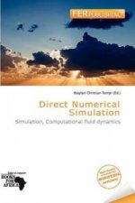 Direct Numerical Simulation