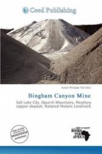 Bingham Canyon Mine