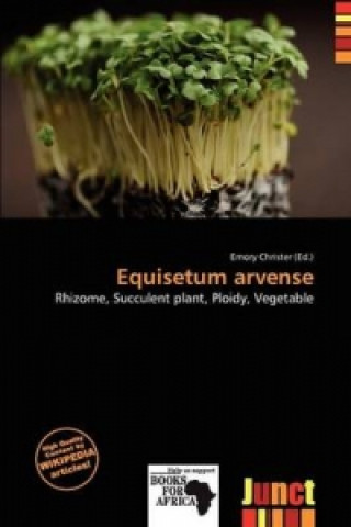 Equisetum Arvense