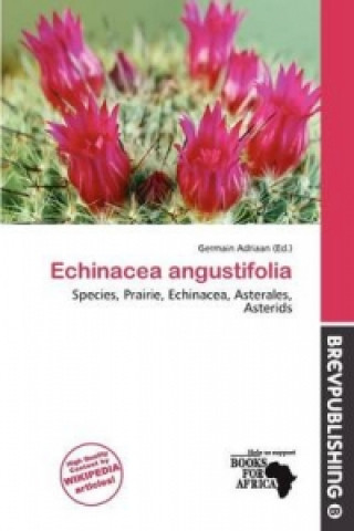 Echinacea Angustifolia