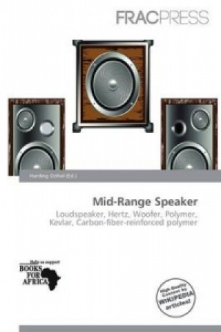Mid-Range Speaker