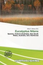 Eucalyptus Nitens