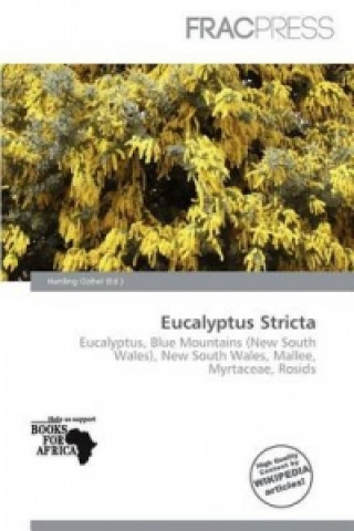 Eucalyptus Stricta