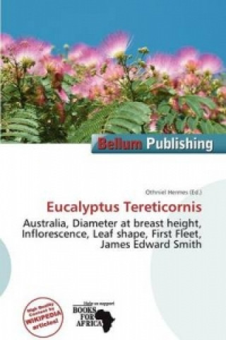 Eucalyptus Tereticornis