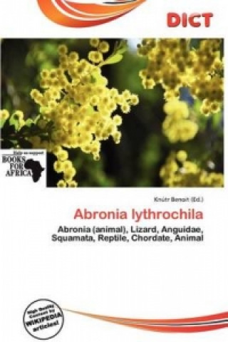 Abronia Lythrochila