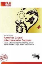 Anterior Crural Intermuscular Septum