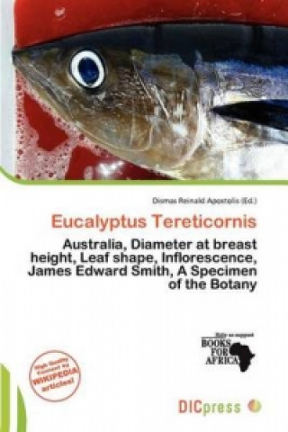 Eucalyptus Tereticornis