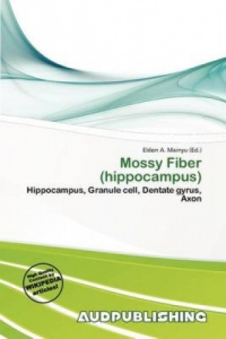 Mossy Fiber (Hippocampus)