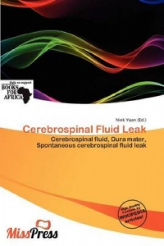 Cerebrospinal Fluid Leak