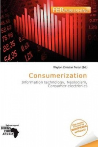 Consumerization