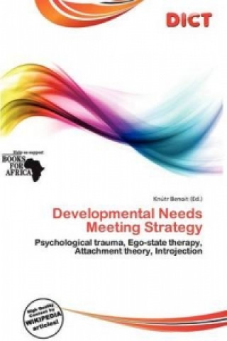 Developmental Needs Meeting Strategy