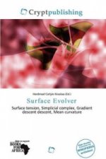Surface Evolver