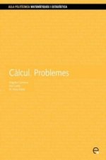 Calcul. Problemes