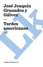 Tardes americanas