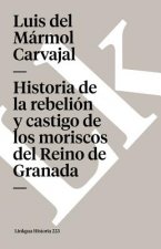 Rebelion y castigo de los moriscos