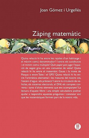 Zaping Matematic