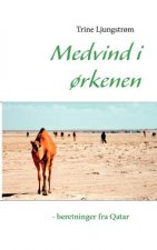 Medvind i orkenen - beretninger fra Qatar