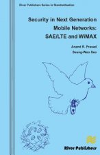 Security in Next Generation Mobile Networks: SAE/LTE and Wimax