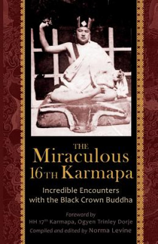 Miraculous 16th Karmapa