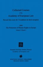 Collected Courses of the Academy of European Law 1995 Vol. VI - 2