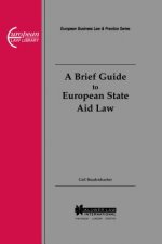 Brief Guide to European State Aid Law
