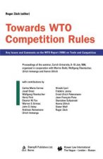 Towards WTO Competition Rules