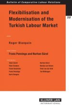 Flexibilisation and Modernisation of the Turkish Labour Market