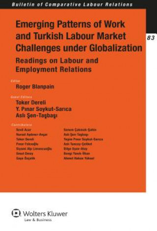 Emerging Patterns of Work and Turkish Labour Market Challenges under Globalization