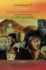 Towards a Transcultural Future: Literature and Society in a 'Post'-Colonial World 2