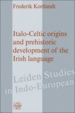 Italo-Celtic Origins and Prehistoric Development of the Irish Language.