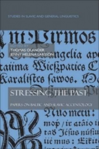 Stressing the past