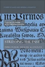 Stressing the past