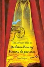 Mystery Play in Madame Bovary: Moeurs de province