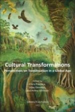 Cultural Transformations