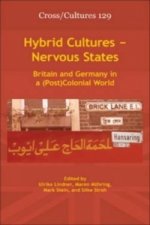 Hybrid Cultures Nervous States