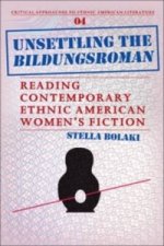 Unsettling the Bildungsroman