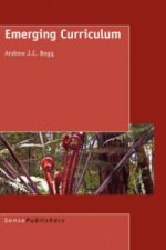 Emerging Curriculum