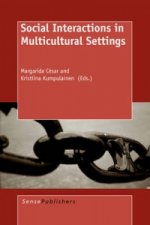 Social Interactions in Multicultural Settings
