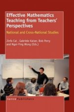 Effective Mathematics Teaching from Teachers' Perspectives
