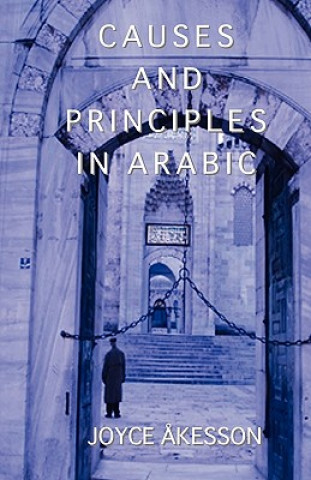 Causes and Principles in Arabic