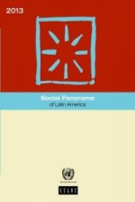 Social panorama of Latin America 2013