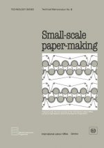 Small-scale Paper-making (Technology Series. Technical Memorandum No. 8)