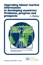 Upgrading Labour Market Information in Developing Countries