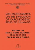 Silica, Some Silicates, Coal Dust and Para-Aramid Fibrils