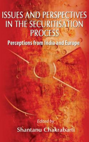 Issues and Perspectives in the Securitisation Process