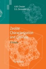 Zeolite Characterization and Catalysis
